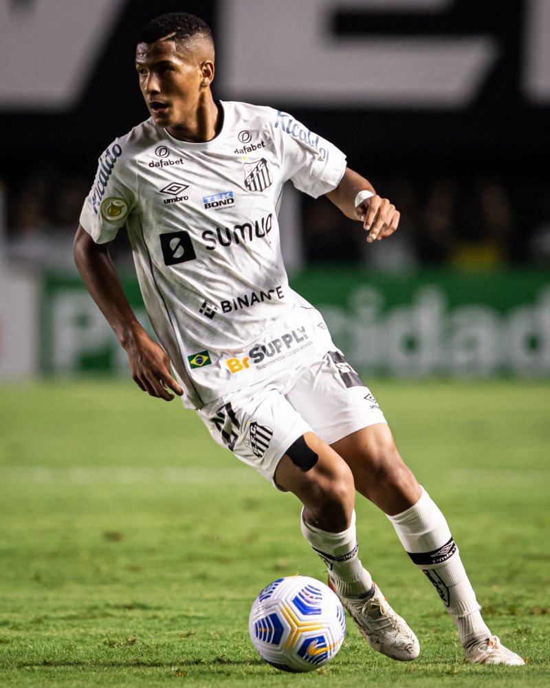 而成为行业 而成为行业