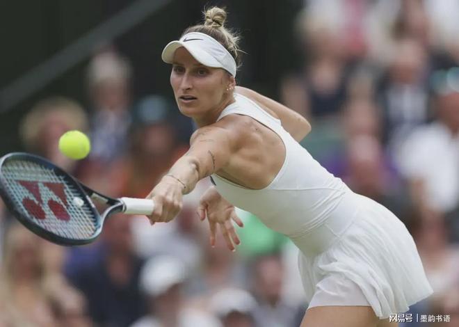 持续放大 持续放大